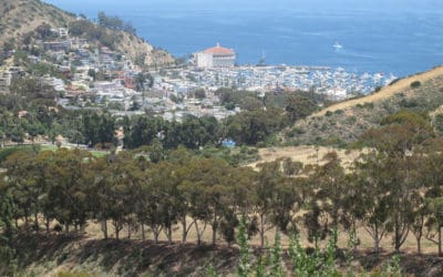 Wrigley Monument Catalina Hiking Trail