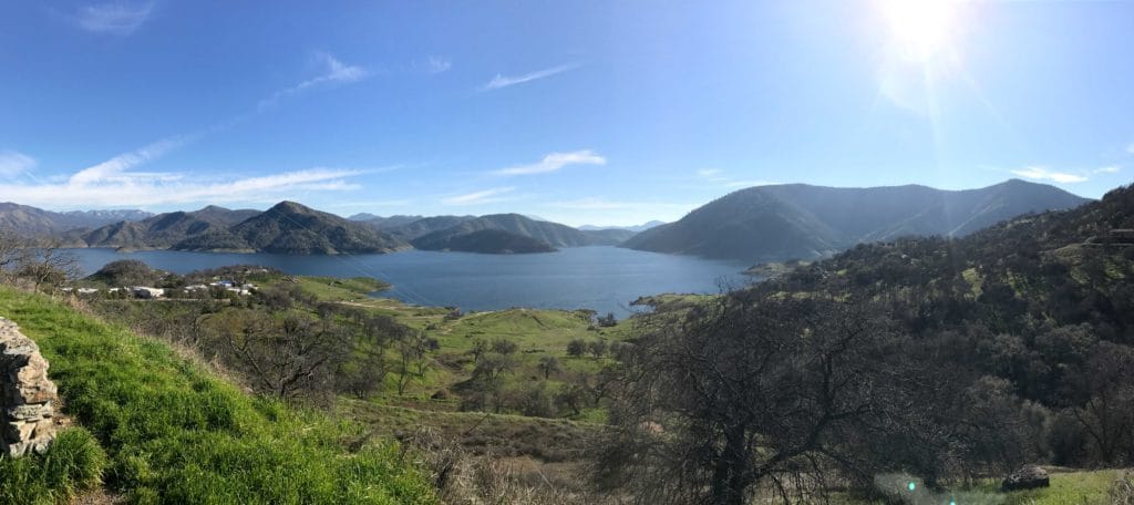 Cordeiro sugar thesis 06 image