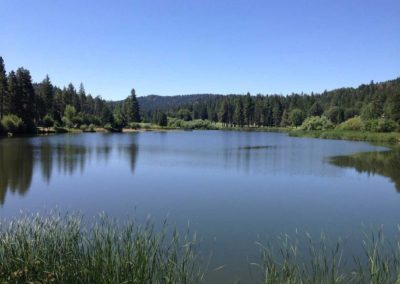 grass valley hike, grass valley hiking trail, best hikes in lake arrowhead, where to hike in lake arrowhead, lake arrowhead hikes, where to hike in arrowhead, best outdoor hikes, lake arrowhead, grass valley lake hikes
