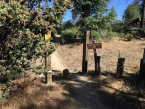 Kfupm homework cover page 06 image