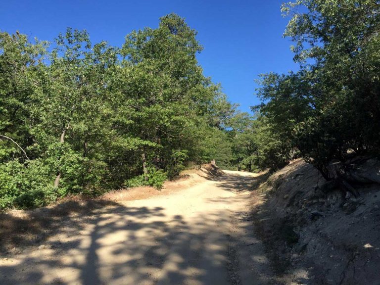 Arlo kempf thesis 04 image