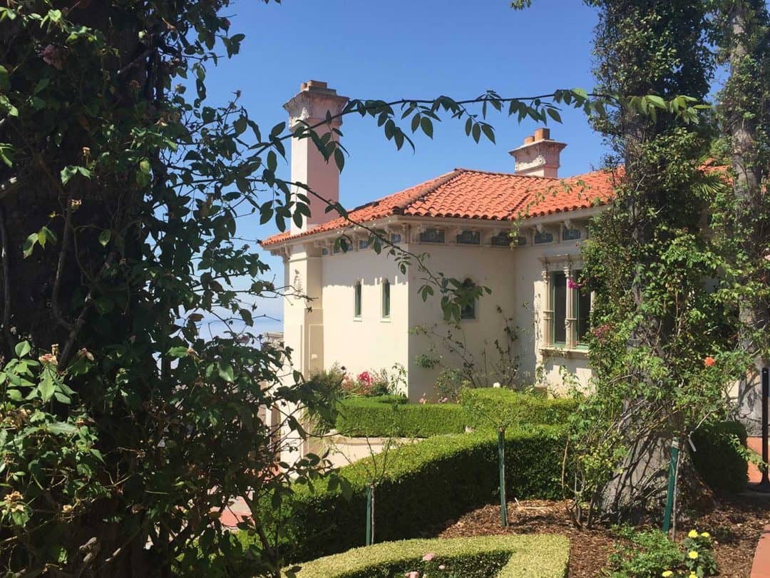 What is a dissertation image