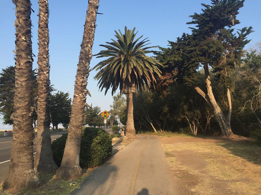 Dennis nordlund thesis image