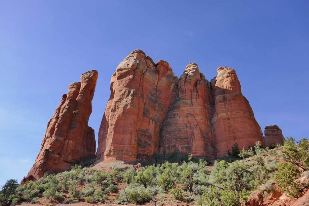 Talk it out sdsu image