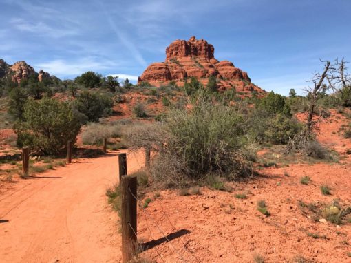 Irandoc thesis search image