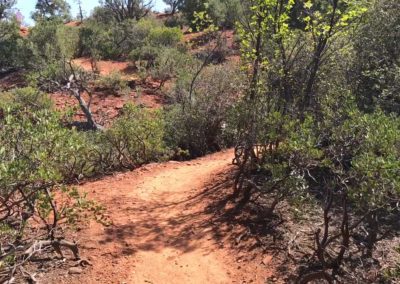 sedona hiking trail, best hikes in sedona, where to hike in arizona, sedona bell rock hike, bell rock hike, courthouse trail loop, where to stay in sedona, things to see in sedona