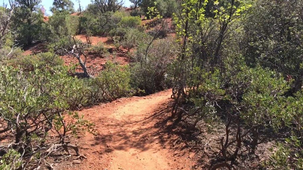 Dissertation defense picture