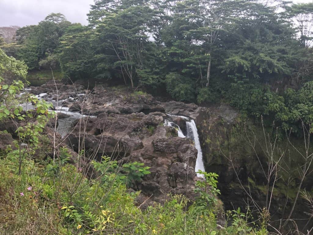 Common app essays that worked picture