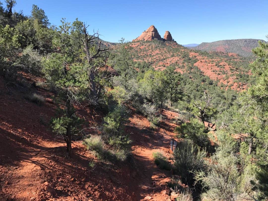 Sami brandt thesis 06 image