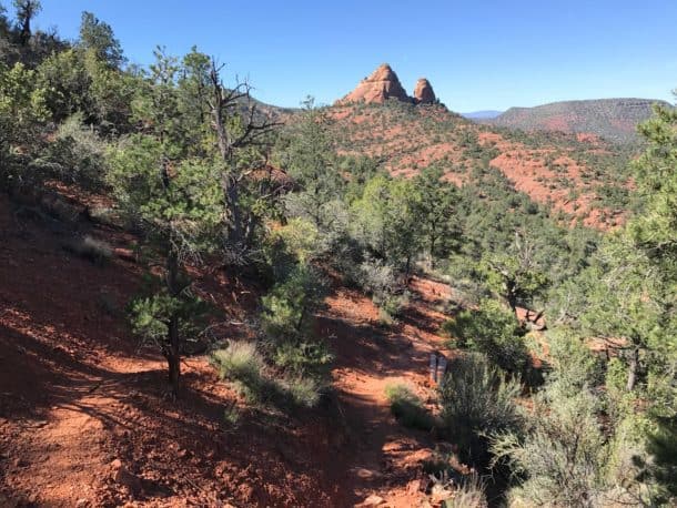 Sami brandt thesis 08 image