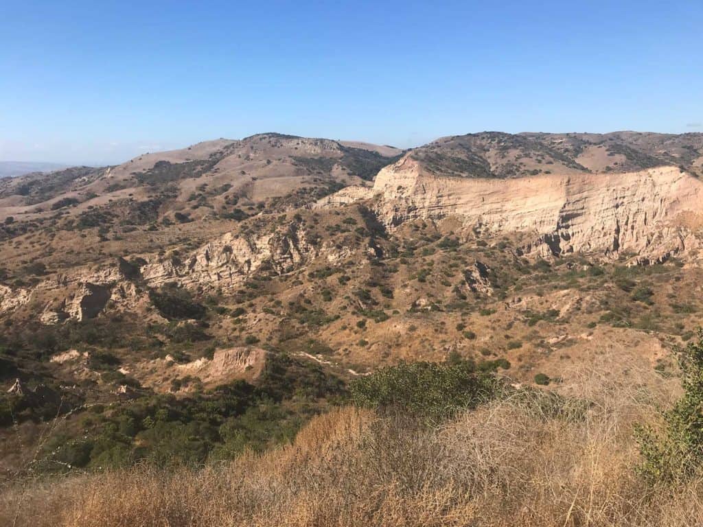 Titu thesis centre 08 image