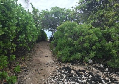 kukio beach, hawaii hiking trails, turtle beach, turtle hiking trail, where to hike in hawaii