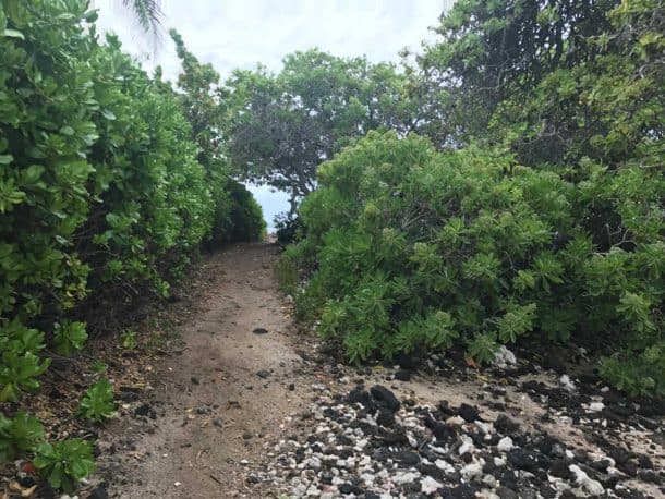 Dissertation meaning picture