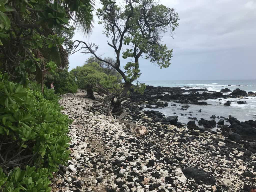 kukio beach, hawaii hiking trails, turtle beach, turtle hiking trail, where to hike in hawaii