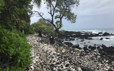 Kuki’o Beach Hawaii Hiking Trail