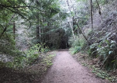 purism creek redwoods, half moon bay hike, redwood hikes, best place to hike in half moon bay, san francisco hike, where to hike in half moon bay