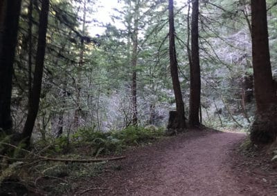 purism creek redwoods, half moon bay hike, redwood hikes, best place to hike in half moon bay, san francisco hike, where to hike in half moon bay