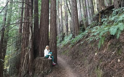 Purisma Creek Redwoods Half Moon Bay Hike