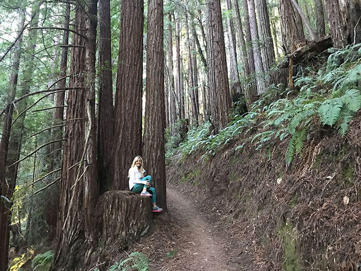 Purisma Creek Redwoods Half Moon Bay Hike