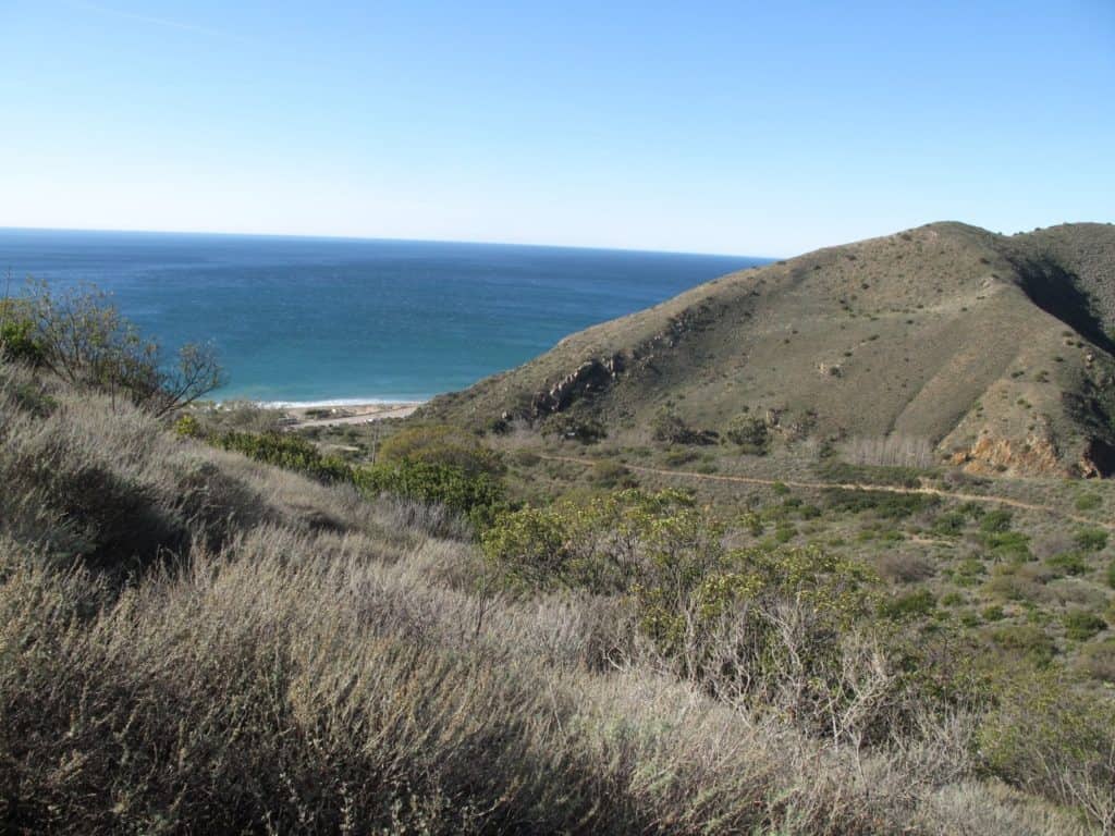 Book brown essay history in intellectual rethinking south thrasher 07 image