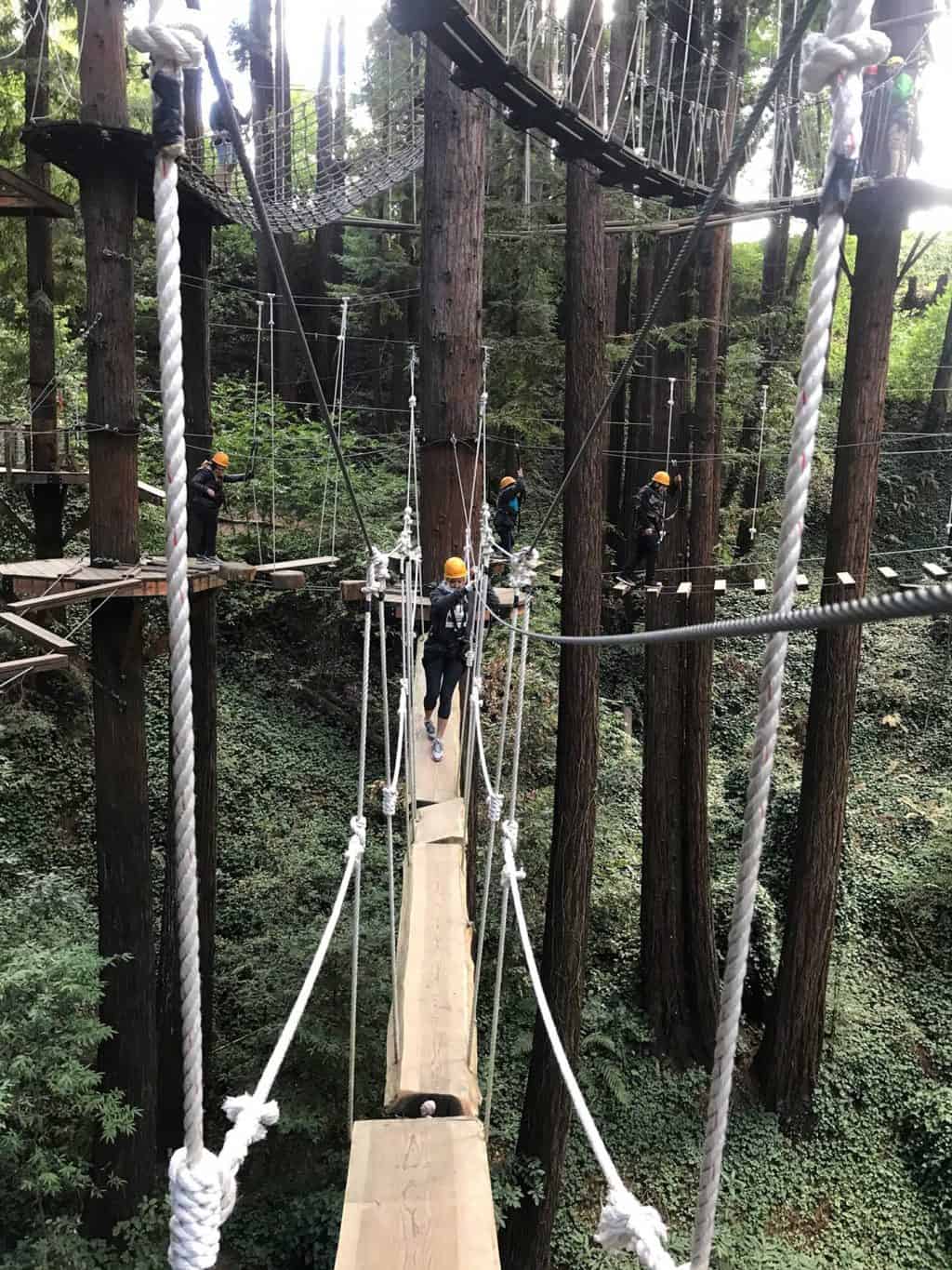 Zipline narrative essay 06 picture