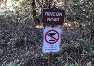 santa cruz redwoods hike, santa cruz hikes, where to hike in santa cruz, rincon fire road hike, best santa cruz places, redwoods hikes, go hike it, gohikeit