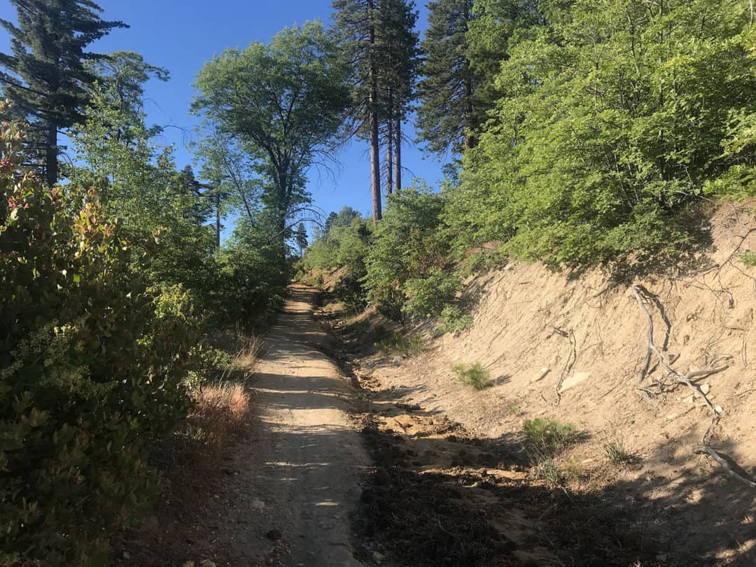 Harry leahey thesis 07 image