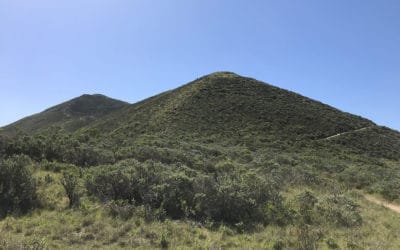 Montaña de Oro State Park Hiking Trail