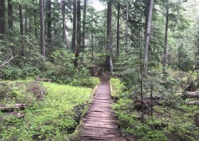 seattle hiking trail, seattle hikes, mount rainer hikes, mount rainer, mt rainer hikes, mount rainer hiking trails