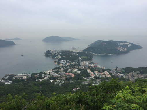 Essay hone kouka wairoa 03 picture